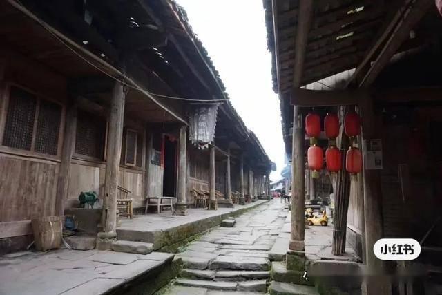 男人是否能生孩子游戏画面